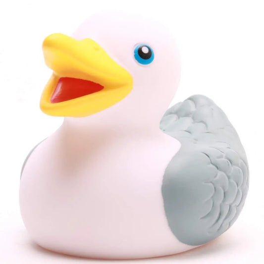 Sea Gull Duck