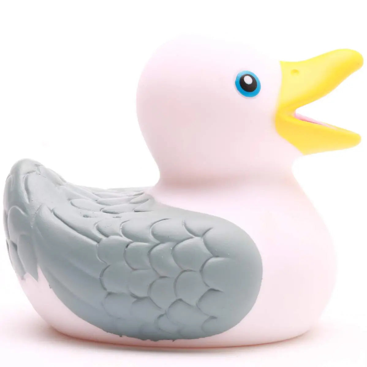 Sea Gull Duck