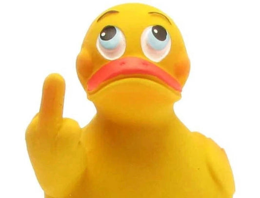 "Siggi" The Middle Finger Duck