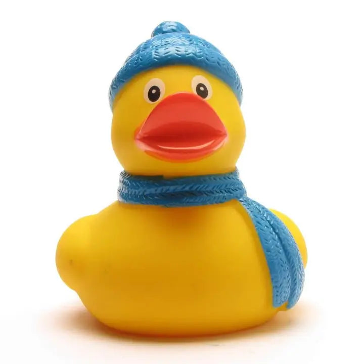 Winter Duck